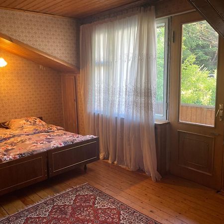 Guest House Raisa Dilijan Esterno foto